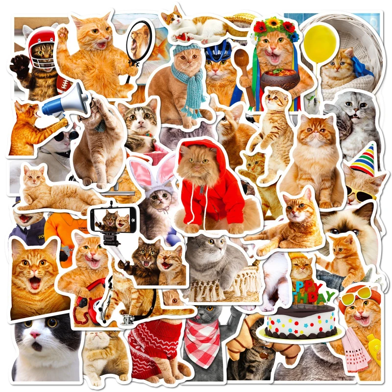 10/30/50 قطعة Kawaii الحب القط PVC ملصق الجمالية للأطفال الكورية الديكور سكرابوكينغ القرطاسية اللوازم المدرسية للأطفال
