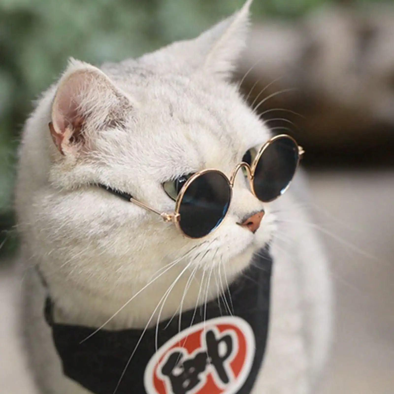 Dog Sunglasses Cat Pet Product Lovely Vintage Round Reflection Eye Wear Glasses Small Dog Cat Pet Photo Props