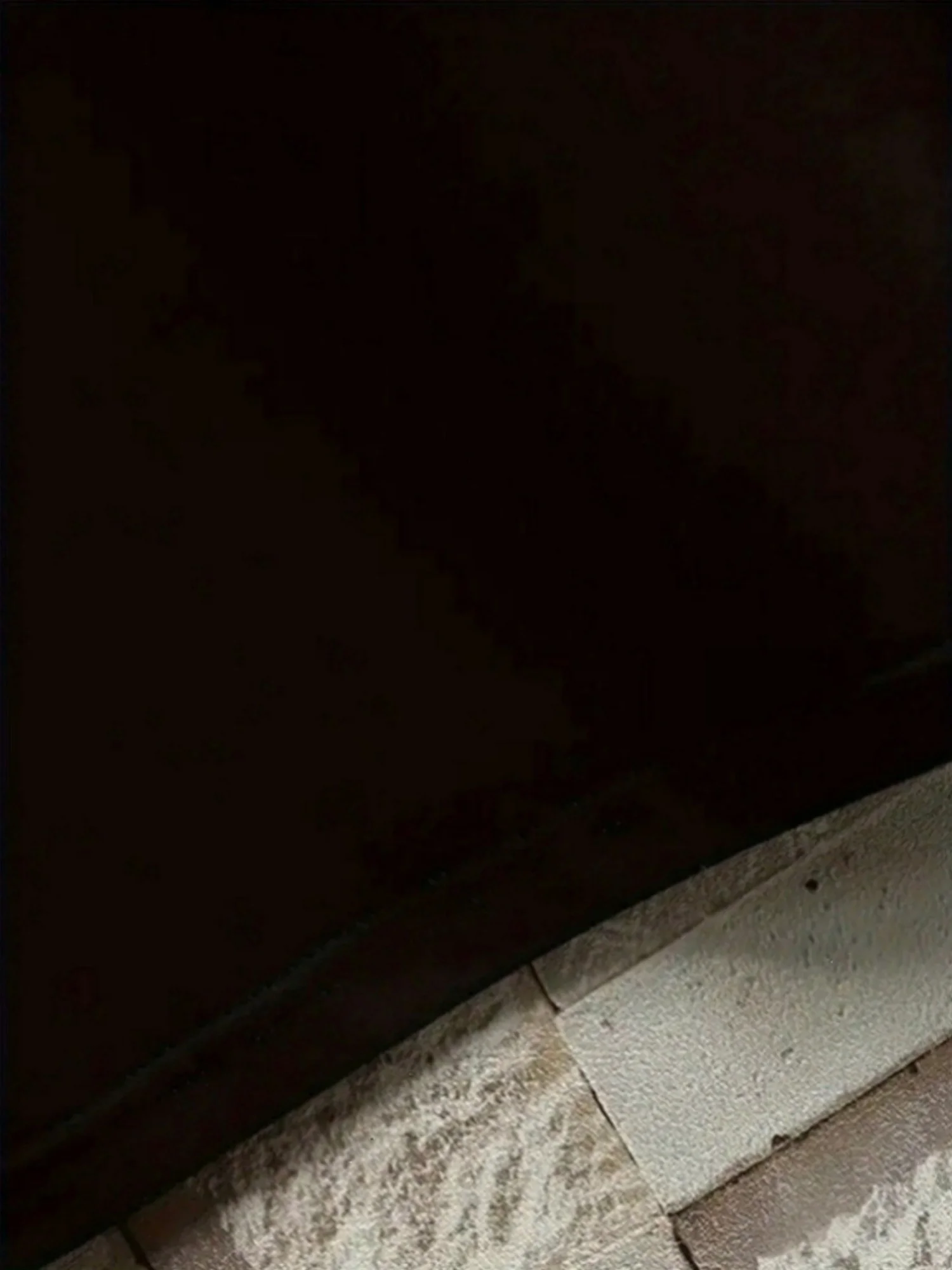 Trendy Printed Round Neck Short Sleeve T-Shirt IT'S IN MY DNA Barbados Flag Tee Shirt Men Women Gift T-Shirt