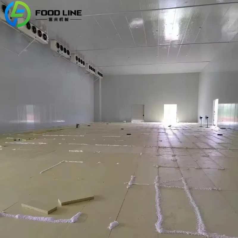 Custom Cold Storage Cool Room Refrigeration Unit Food Container Snacks Meat Freezer Cold Unit For Commercial Use