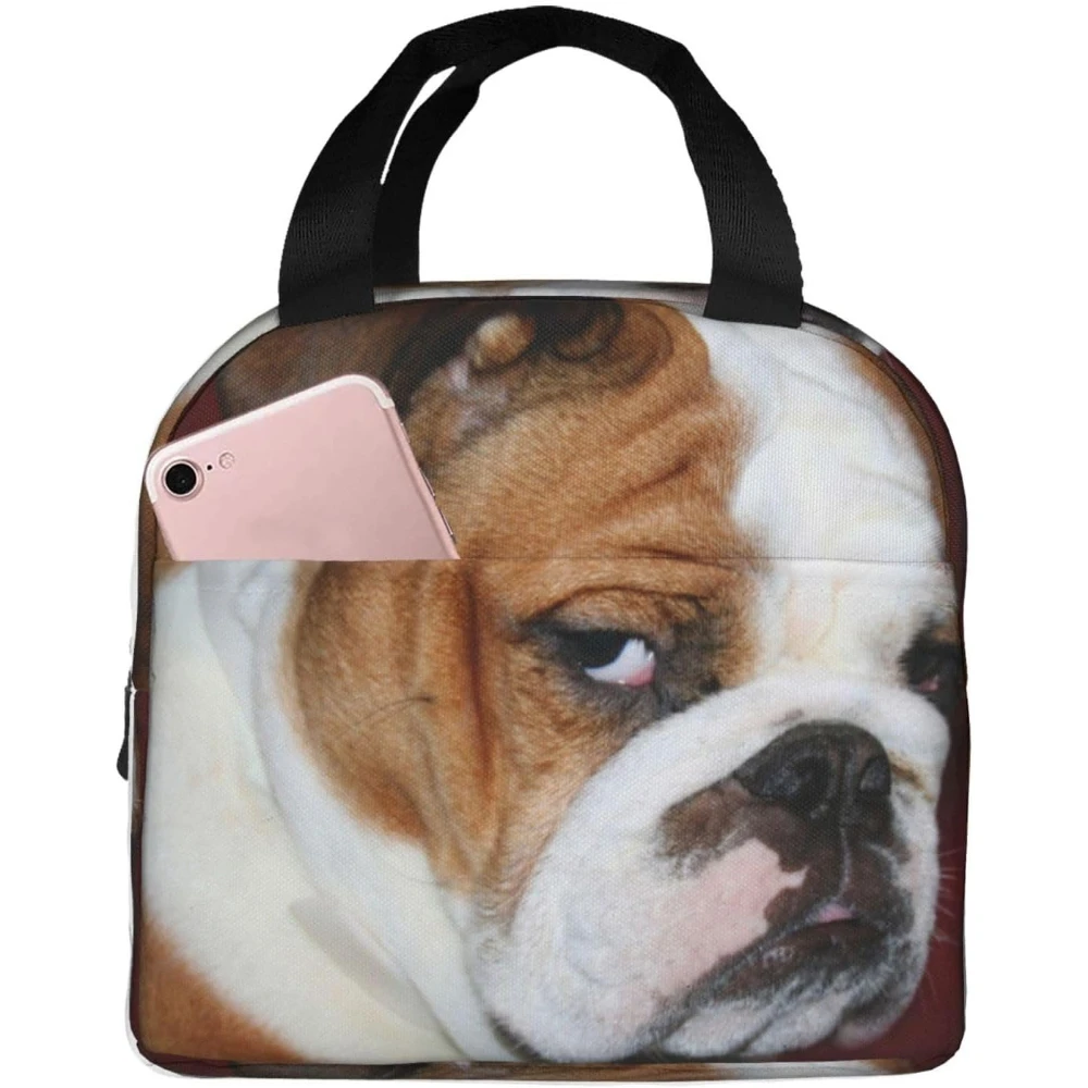 

Furry English Bulldog Lunch Bag-Reusable Insulated Thermal Lunch Box-Portable Tote Bag Cooler Picnic Bag for Men Women