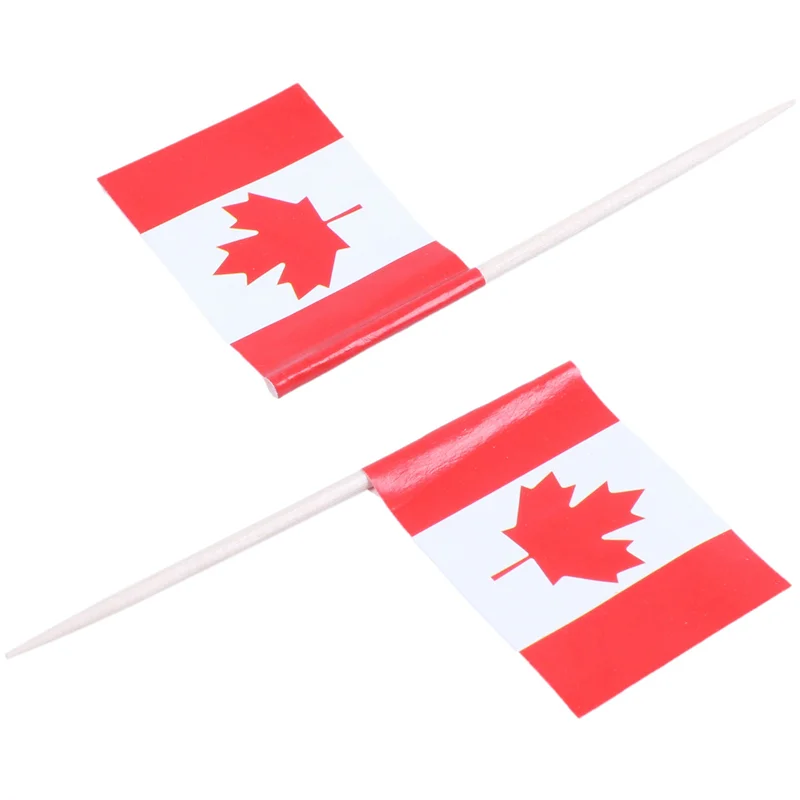 EYFL-Lot Of 500 Pcs Mini Wooden Toothpick With Flag For Decor Of Party Fruit Pastry - Canada