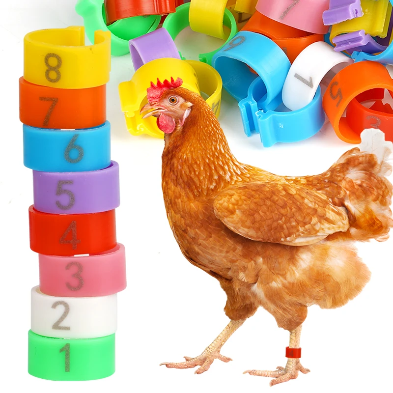 50Pcs 16/20Mm Chicken Duck Leg Rings with Number Animal Identification Tool for Poultry Sign Foot Loop Buckle Clip Farm Supplies
