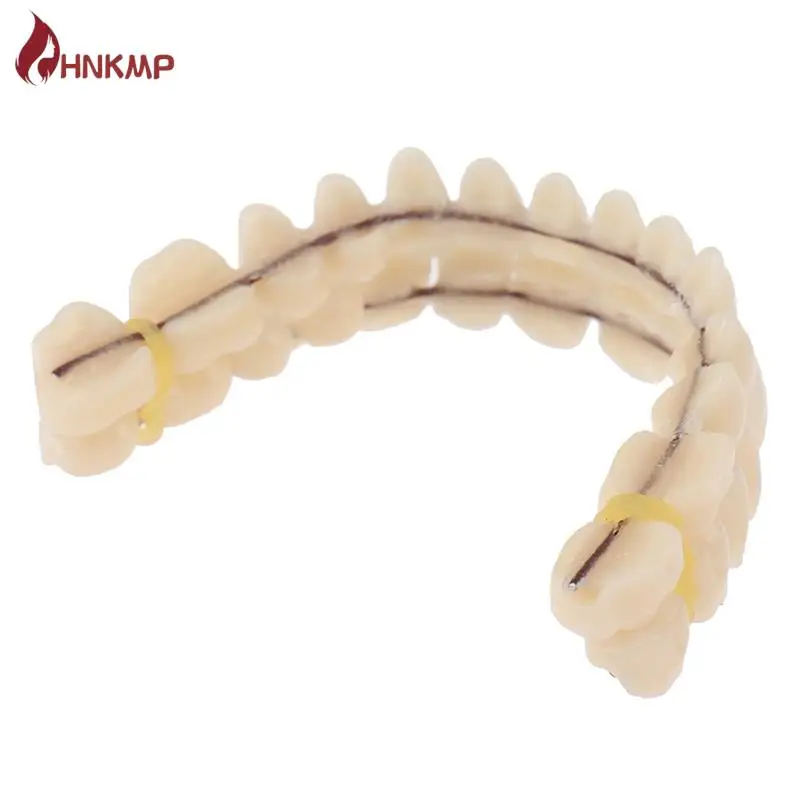 1PC Universal Resi False Teeth Resin Model Durable Dentures Dental Material Teeth Teaching Model Dedicated Teeth