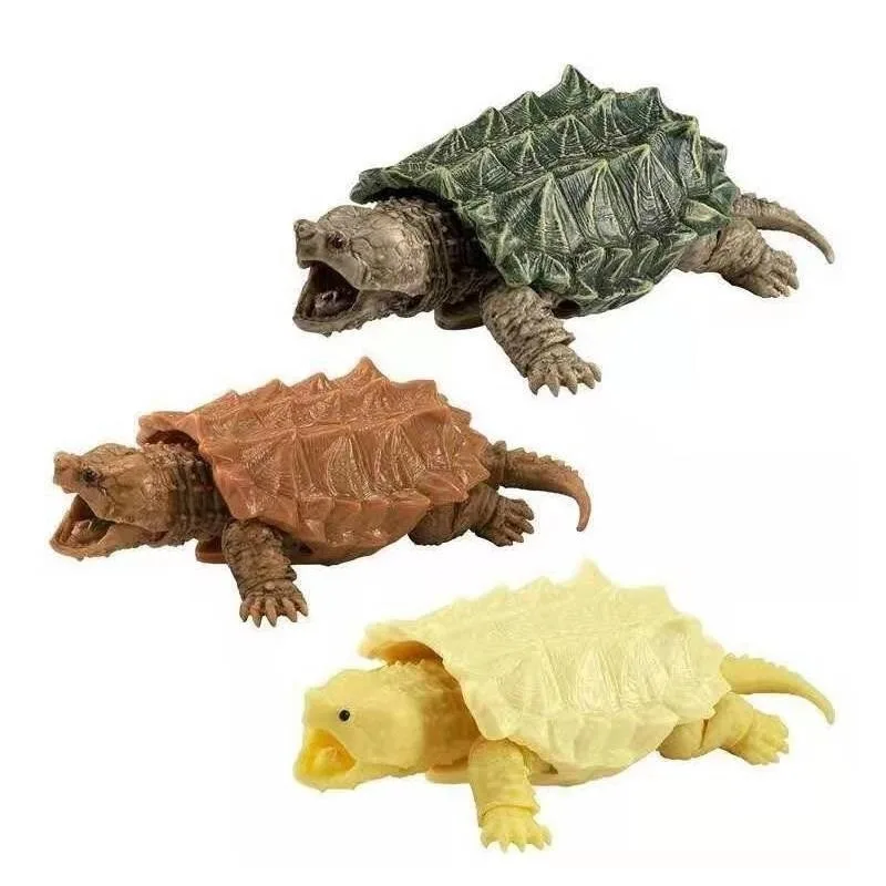 BANDAI-figura de Gashapon de Anime para reptiles, tortuga, tortuga Kawaii, modelo de acción, cápsula, juguetes, regalo para niños