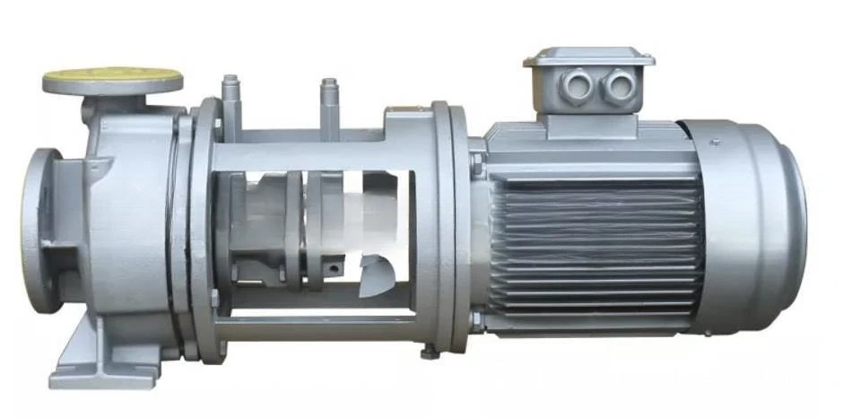 Water-cooled heat transfer oil pump high temperature, electric