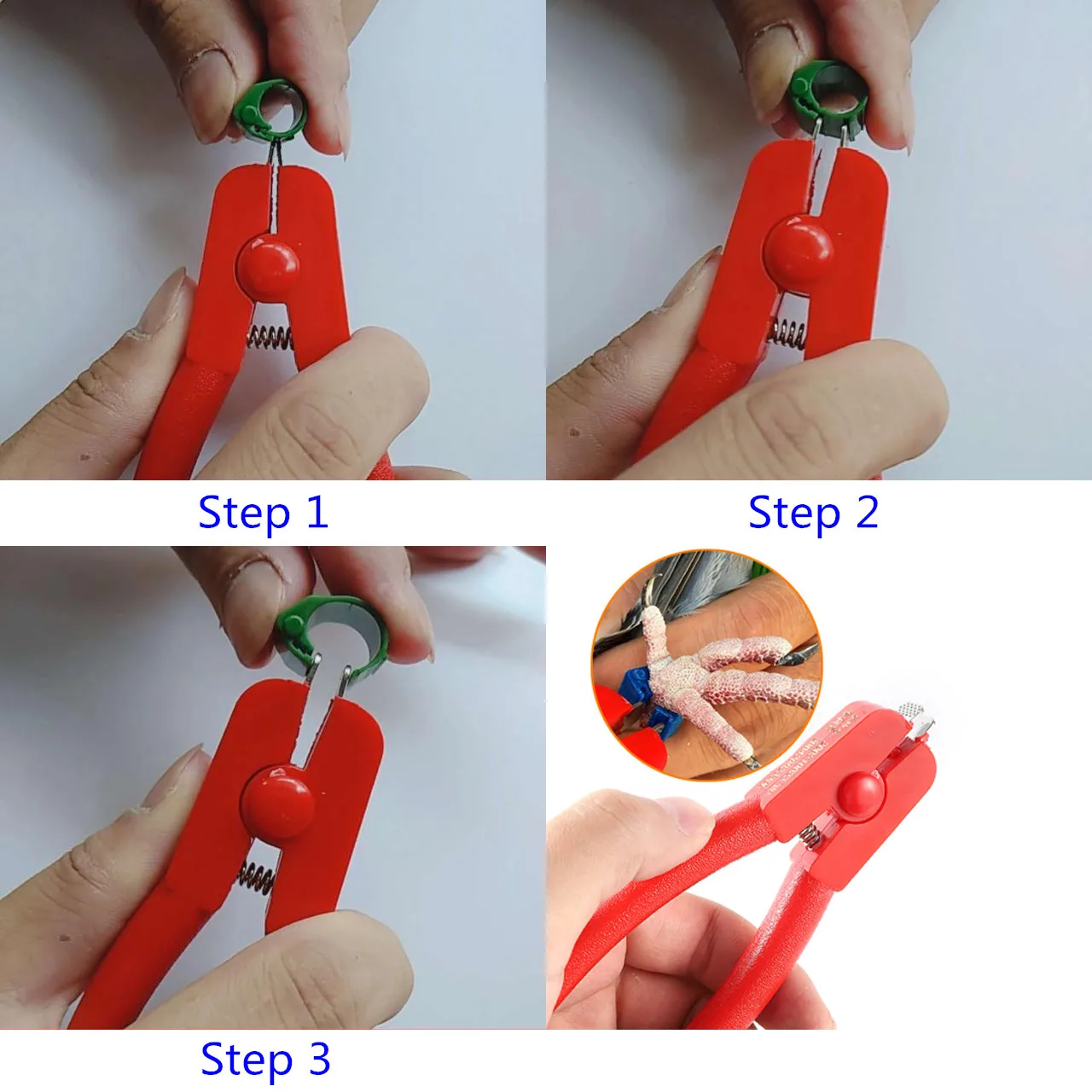 1 Pc Bird Foot Ring Removal Tool Multifunctional Pigeon Open Ring Pliers Racing Pigeon Electronic Ring Pliers Manual Scissors