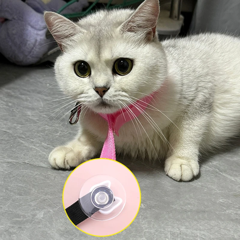 Durable suction cup fixing belt specially for pet bath It limits cat movement and helps finish grooming quickly