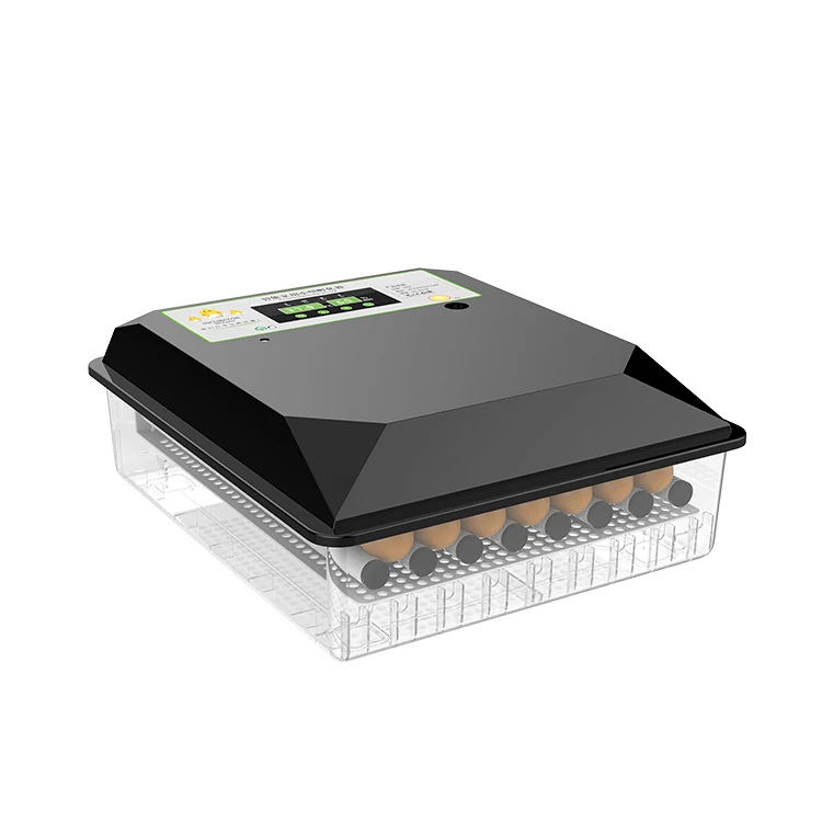 Egg Dual Power Auto…