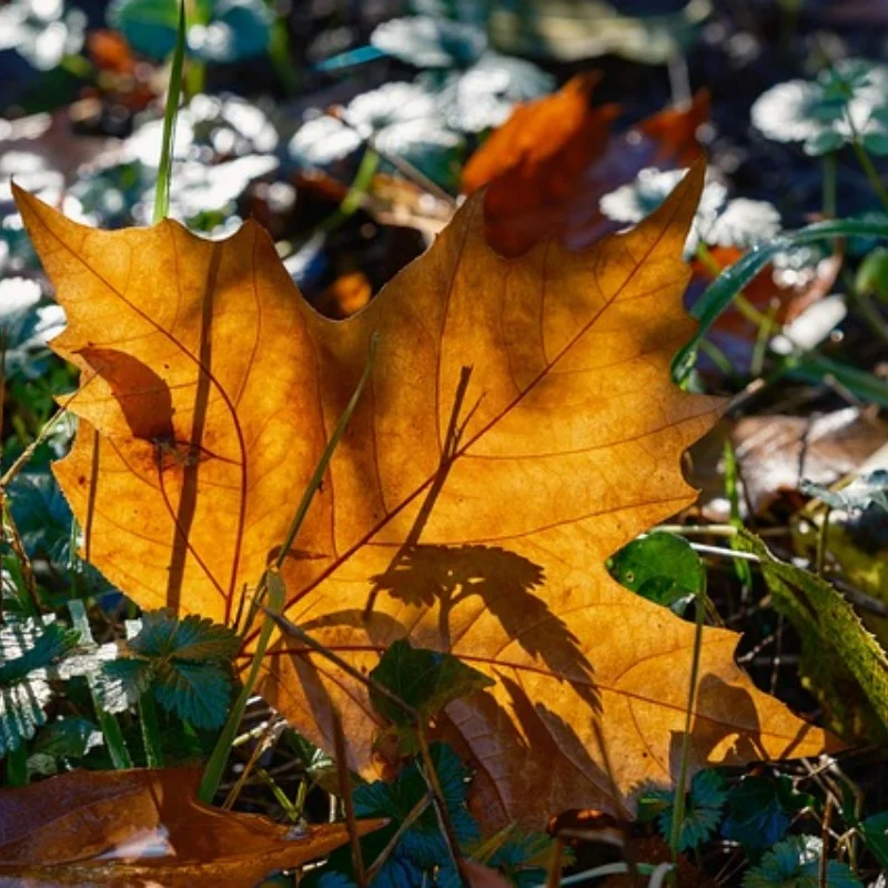 

4pcs 112mm 1/10 Short Course Truck Tires Tyre Wheel With 12mm Hex For Slash Arrma Senton HuanQi 727 Vkar 10sc Hpi Rc Car