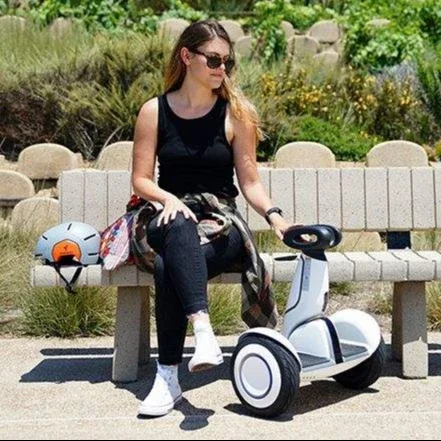 Electric Scooter  Nine bot S Plus Smart Self-Balancing Scooter for Adult 20km/h   with Big Wheels Remote Control Kickscooter