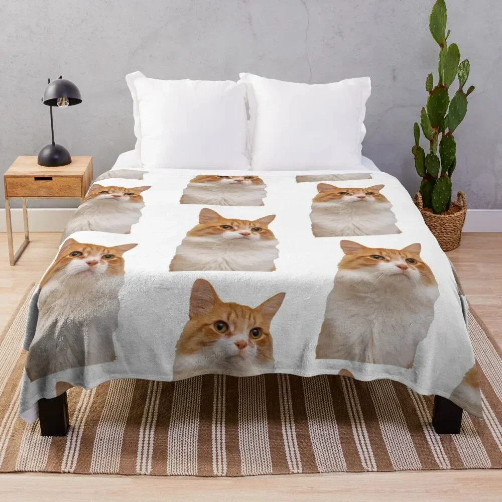 Handsome Ginger Cat Throw Blanket Soft Plush Plaid funny gift Personalized Gift Sleeping Bag Blankets