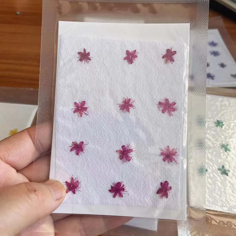 24/36PCS,1.5~2.5CM Natural Dried Mini Pressed Flowers White Sandalwood Heads,Dry Flower Press For Craft Resin Jewellery,Candles