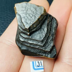 Natural Gobi Witchcraft Energy Stone heal Mineral Specimen Aquarium Home Decor
