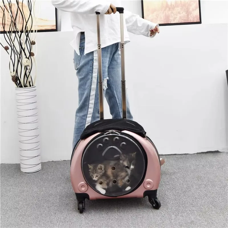 2026 Portable Space Capsule Pet Backpack Fashionable PC Material Trolley Suitcase With Animal Pattern for Cats Cage Carrier