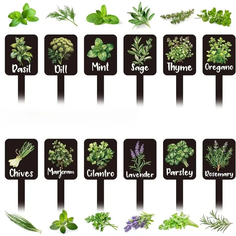24pcs Plant Label Set Herb Garden Markers with Names Stakes for Vegetables Reusable Pot Tags for Outdoor Indoor Plant Decoration