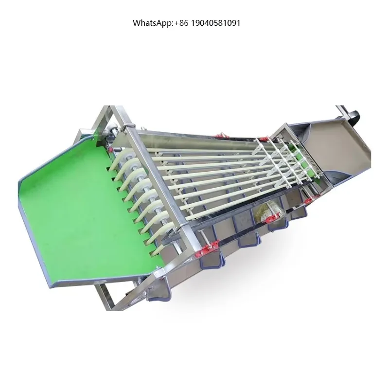 Cherry Tomato Sorting Machine Fruit Grading Machine Stainless Steel Sorting Machine