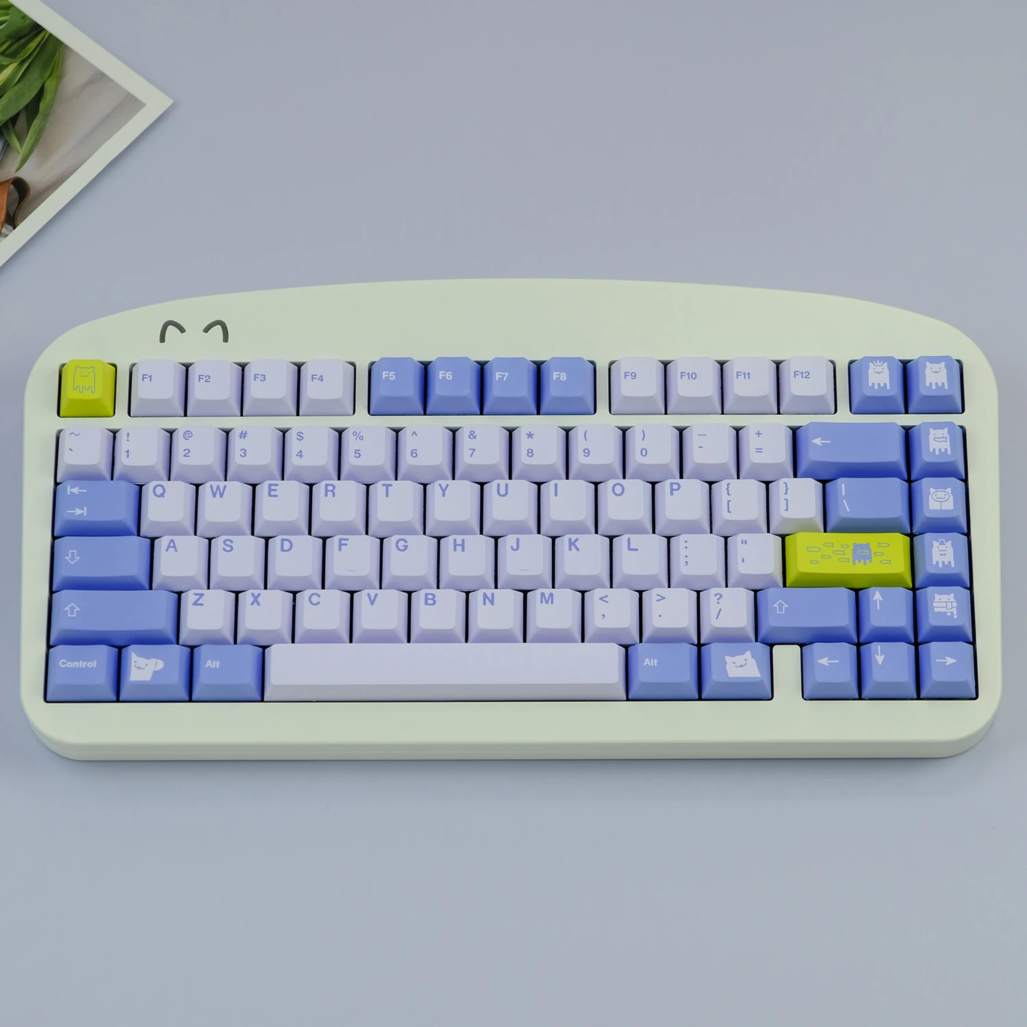 GMK Cat Teclas Mecánicas PBT – Perfil Cherry MX Sublimación - imagen 4