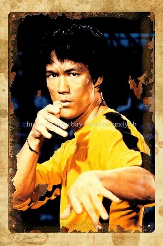 man cave wall decor Bruce Kongfu Star metal tin sign