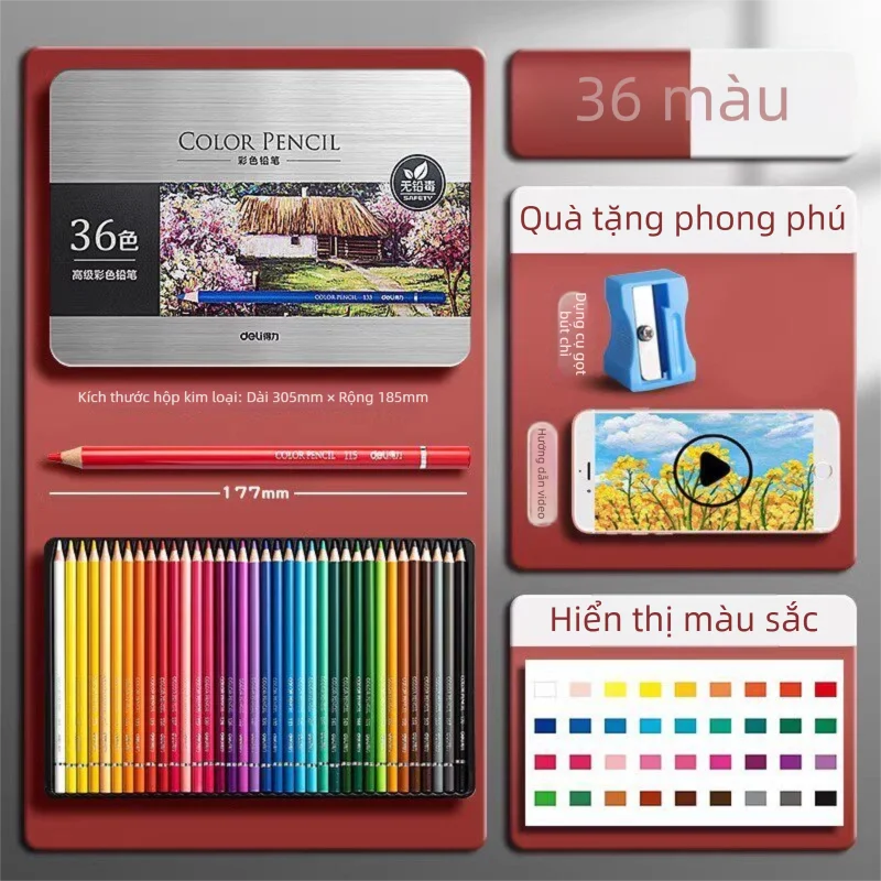 deli | Bút Chì Màu Cho Học Sinh Và Người Mới Bắt Đầu