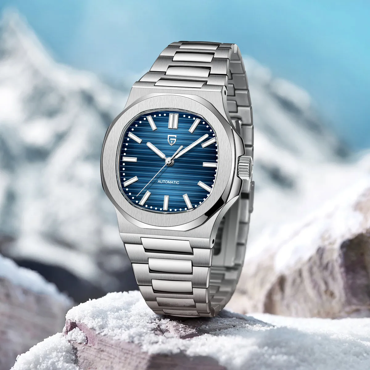 

PAGANI DESIGN 2025 New Men's Watch Top brand luxury Mechanical Automatic Luxury AR Sapphire glass Watch For Men 100M Waterproof