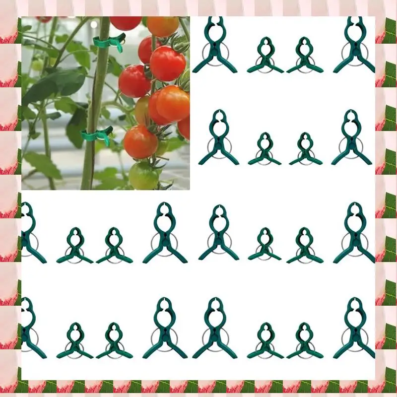 

A57I Fixed Plastic Plant Clips, Plant Support Clips Plant Clips For Climbing Plants, Fixed Plant Vine Clips For Garden Vines