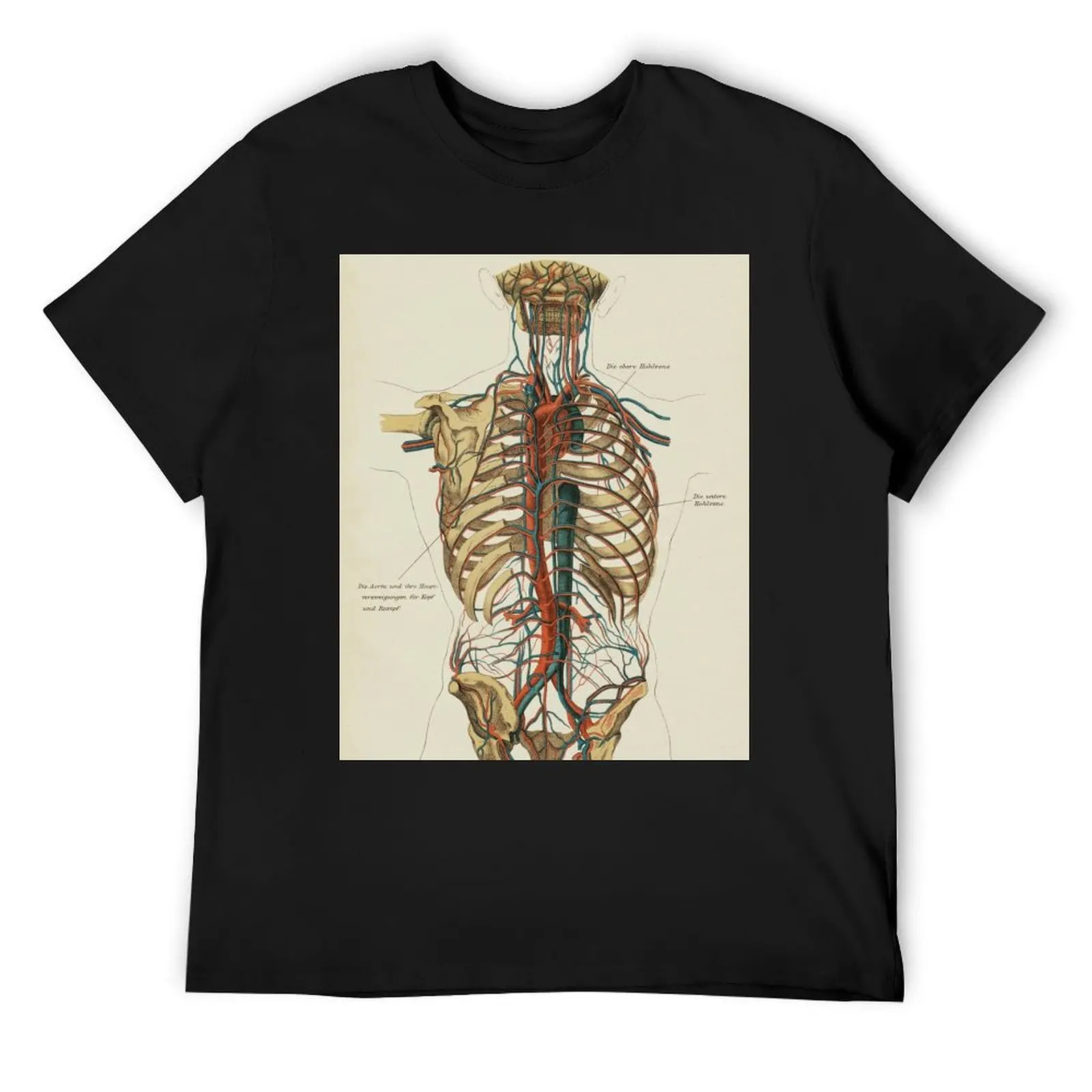 

Vintage Anatomy, Circulatory System T-Shirt luxury t-shirt plain anime heavy weight t shirts for men