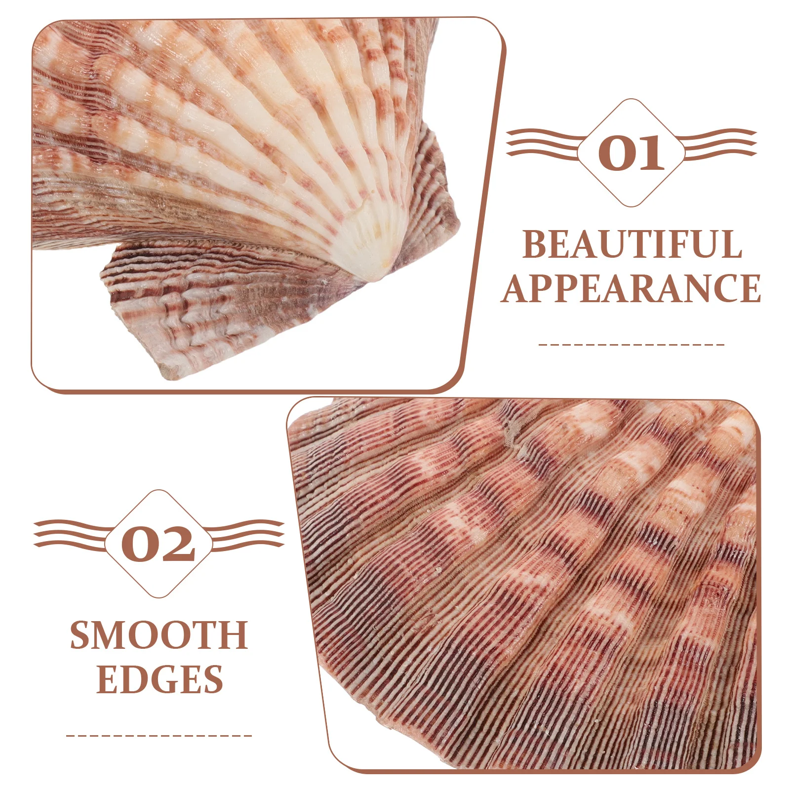 1pcs Large White Scallop Shells Sea Shell Decor For Diy Wall Fish Tank Decoration Natural Beach Seashells Ornaments Home Decor