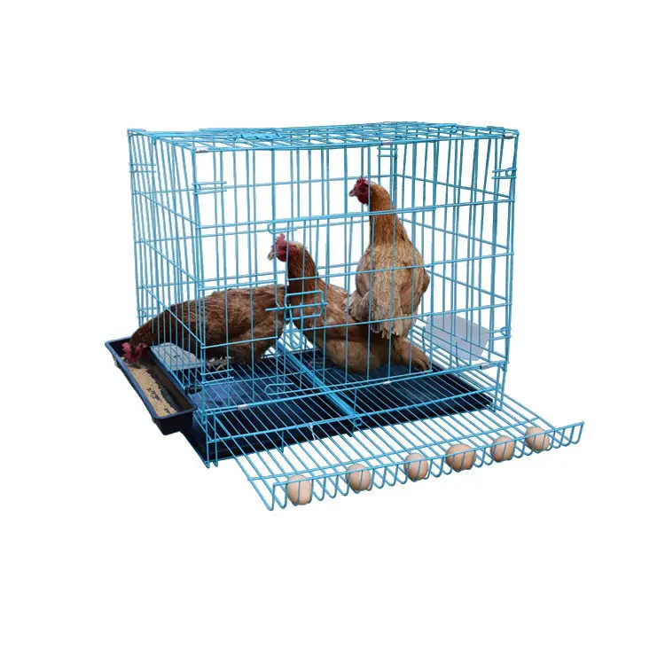 

Chicken cage Breeding cage Household quail cage Small folding laying hens Automatic rolling egg chicken cage