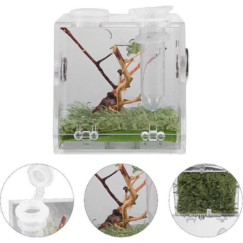 

Portable spider fence with tweezers and dropper for small crawling insects, transparent acrylic style, with ventilation