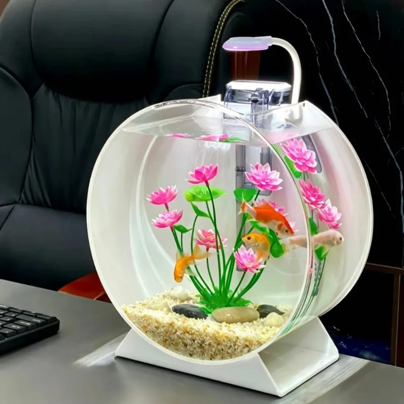 Small Ecological Desktop Fish Tank with Integrated Filtration and Creative Landscaping