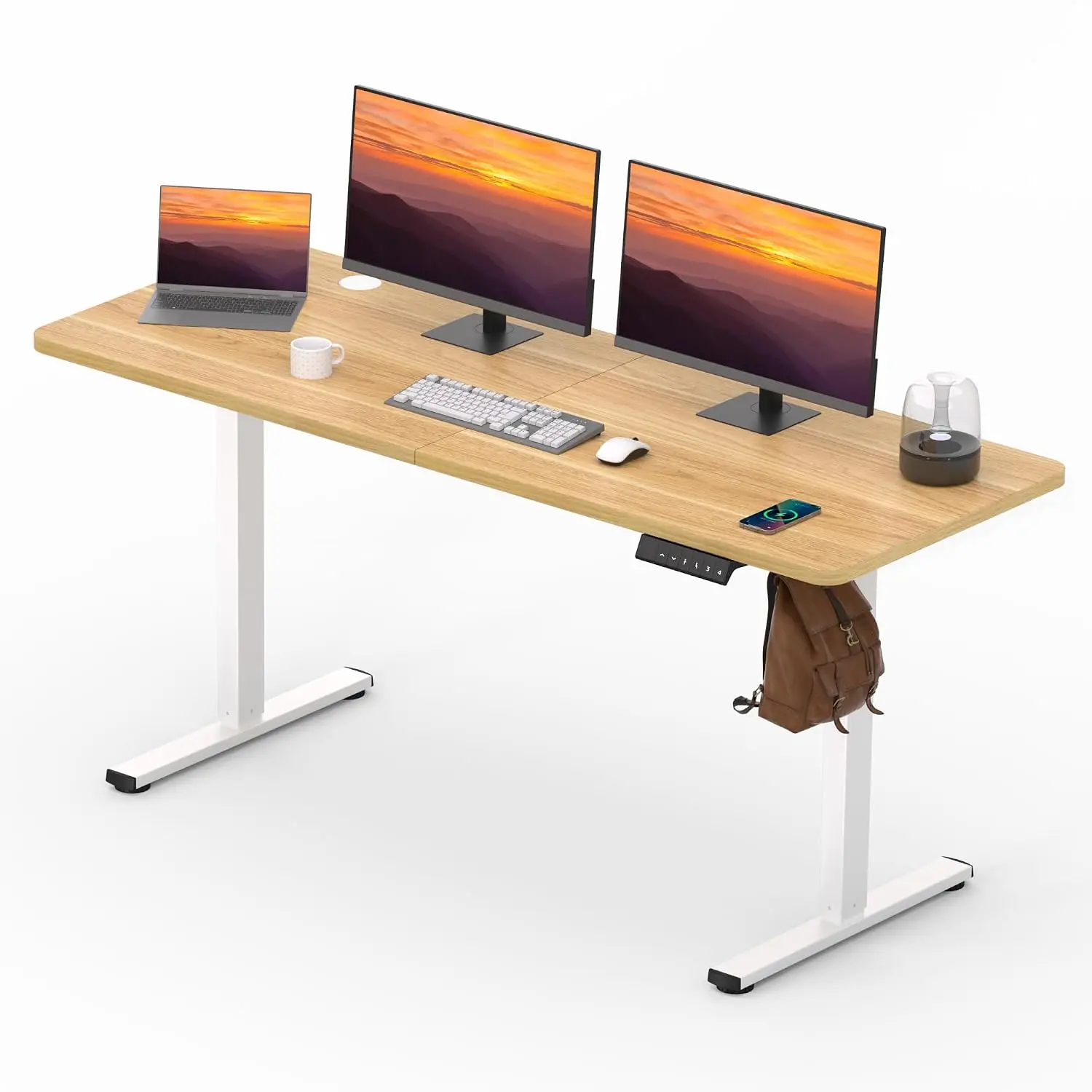63''x 24'' Standing Desk Electric Adjustable for Home Office, Customized
