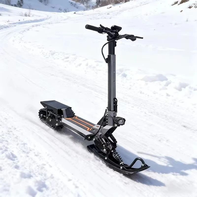

40 km/h dual-purpose electric snowmobile, load-bearing 120 kg, 48V LCD screen, steel frame, 20-degree climbing angle