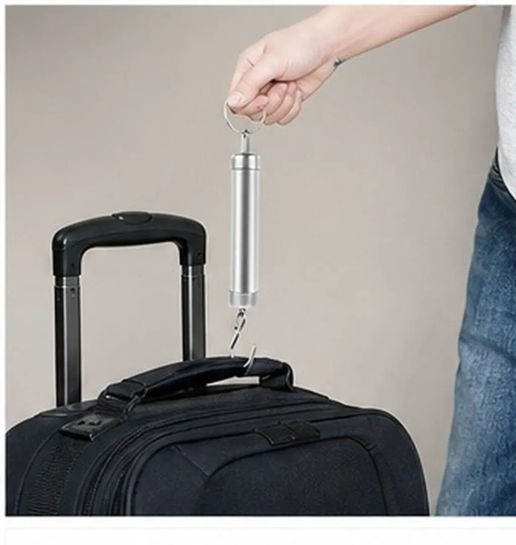 Mechanical Spring Hanging Scale High Precision Portable Kitchen Hook Scale for Fishing Travel Luggage Bag Weight Measurement