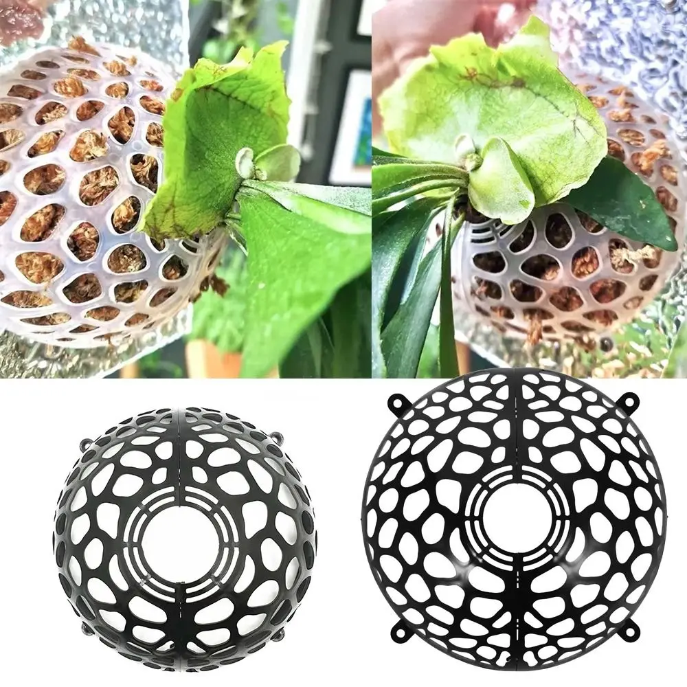 

Reusable Plants Soil Protector Cover Plastic Hollowed Plastic Planting Cover Garden Tools Transparent Plant Support