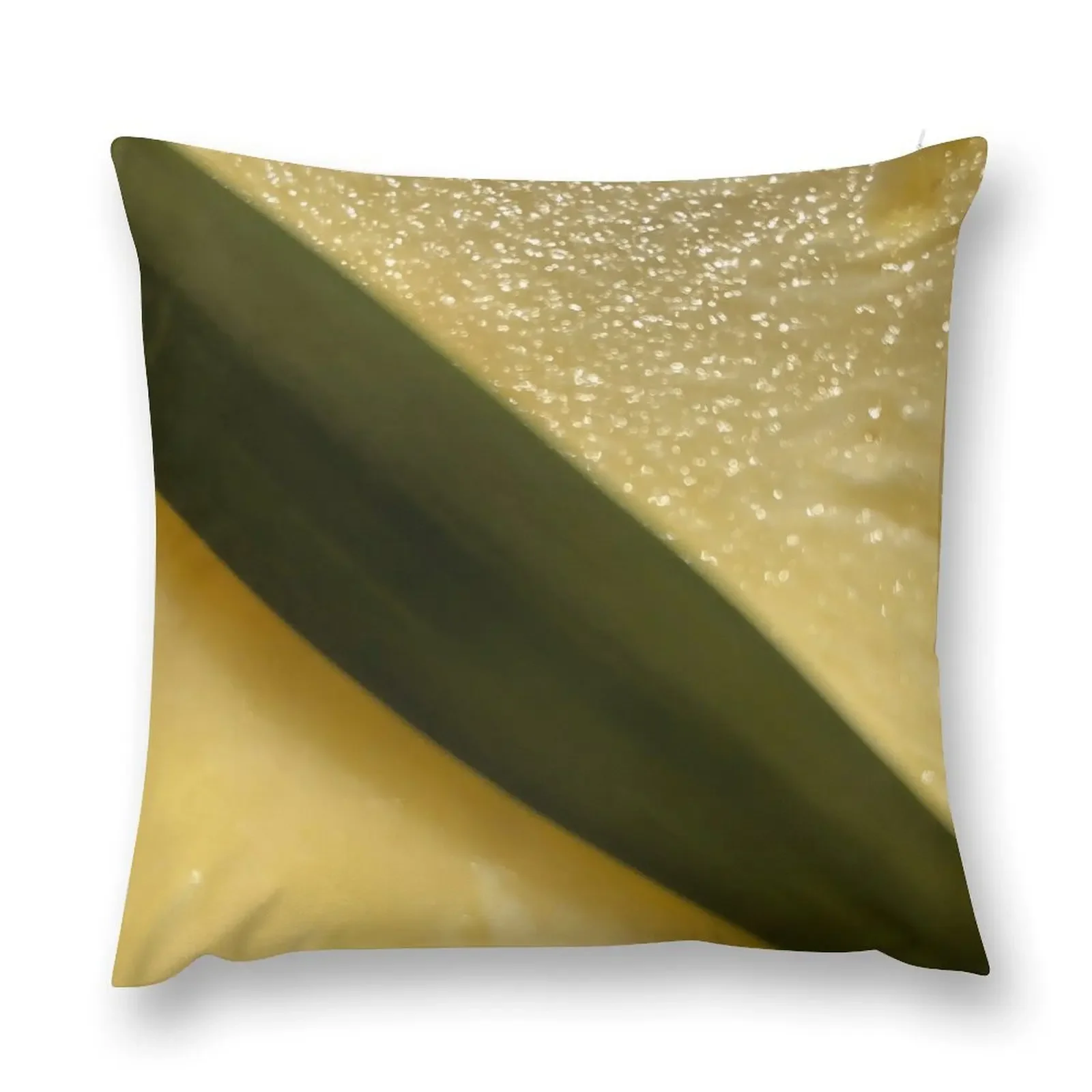 Fundas de almohada para almohadas, funda de almohada, hoja de rodaja de piña, Fiji