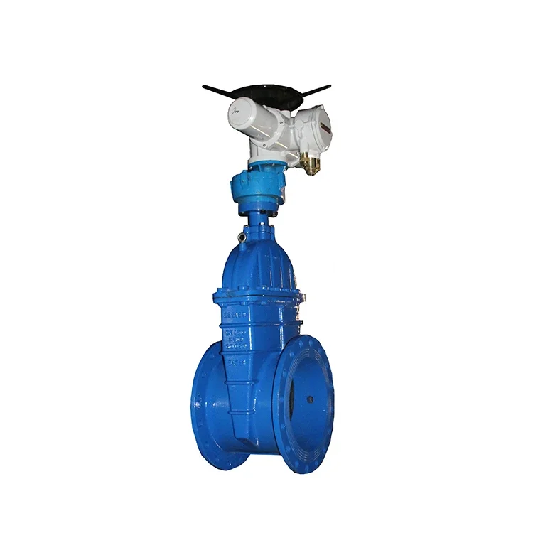 Z945X-16Q Z941X-16Q EPDM Ductile Iron Operated Gate Valve With Bypass