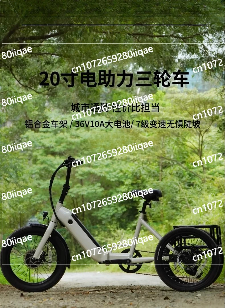 

20 Inch Wide Tire Electric Pedal Tricycle Electric Assist Aluminum Alloy Bicycle Lithium Battery