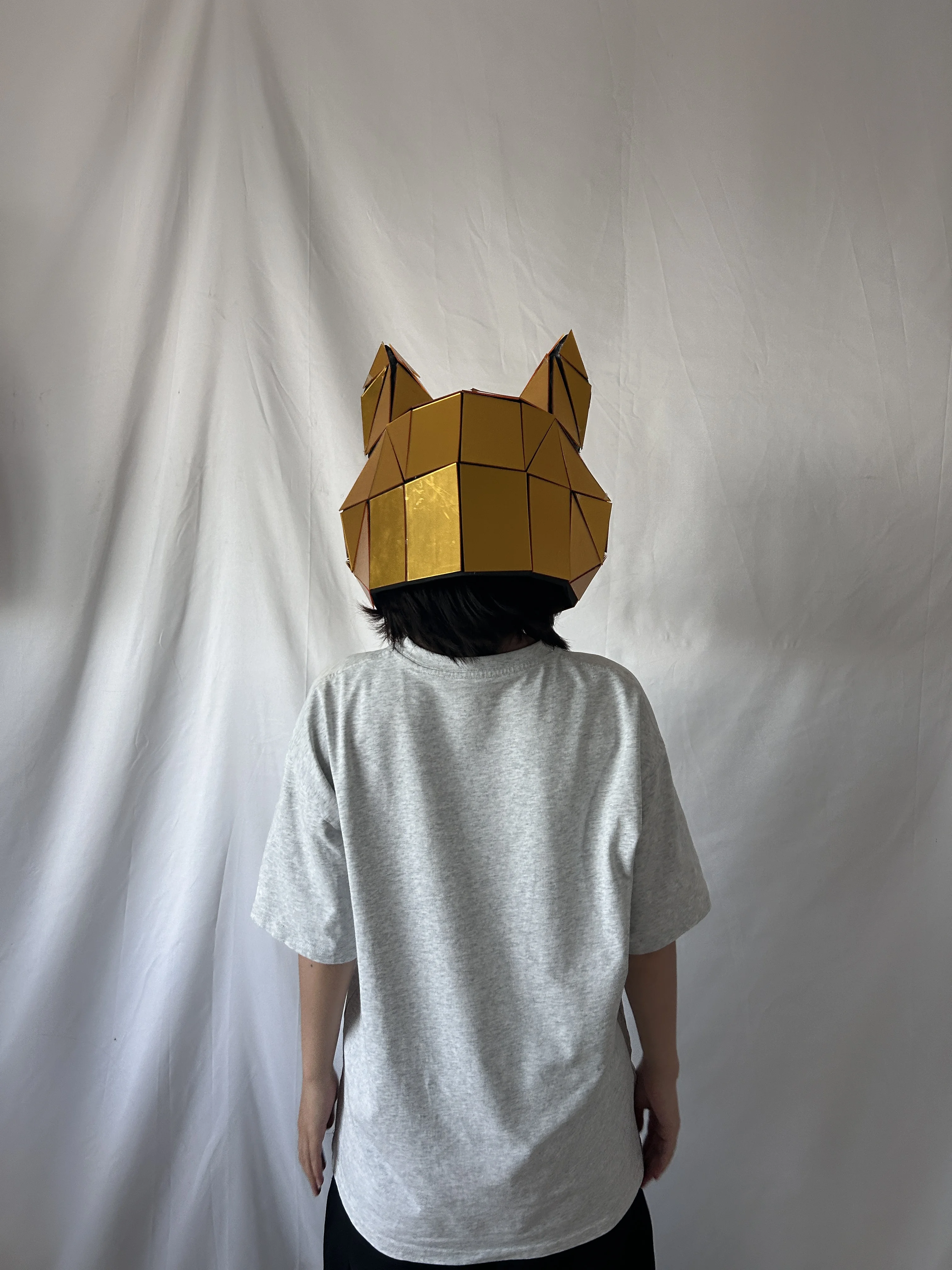 Acrylic Dog Head Helmet Halloween Christmas Stage Performance Props Gold Silver Cosplay Animal Mask