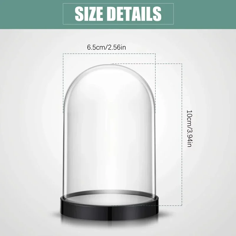 High-quality Transparent Plastic Bell Jar Dome Ball Screw Lid Preserved Flower Display DIY Craft Valentine's Day Decor