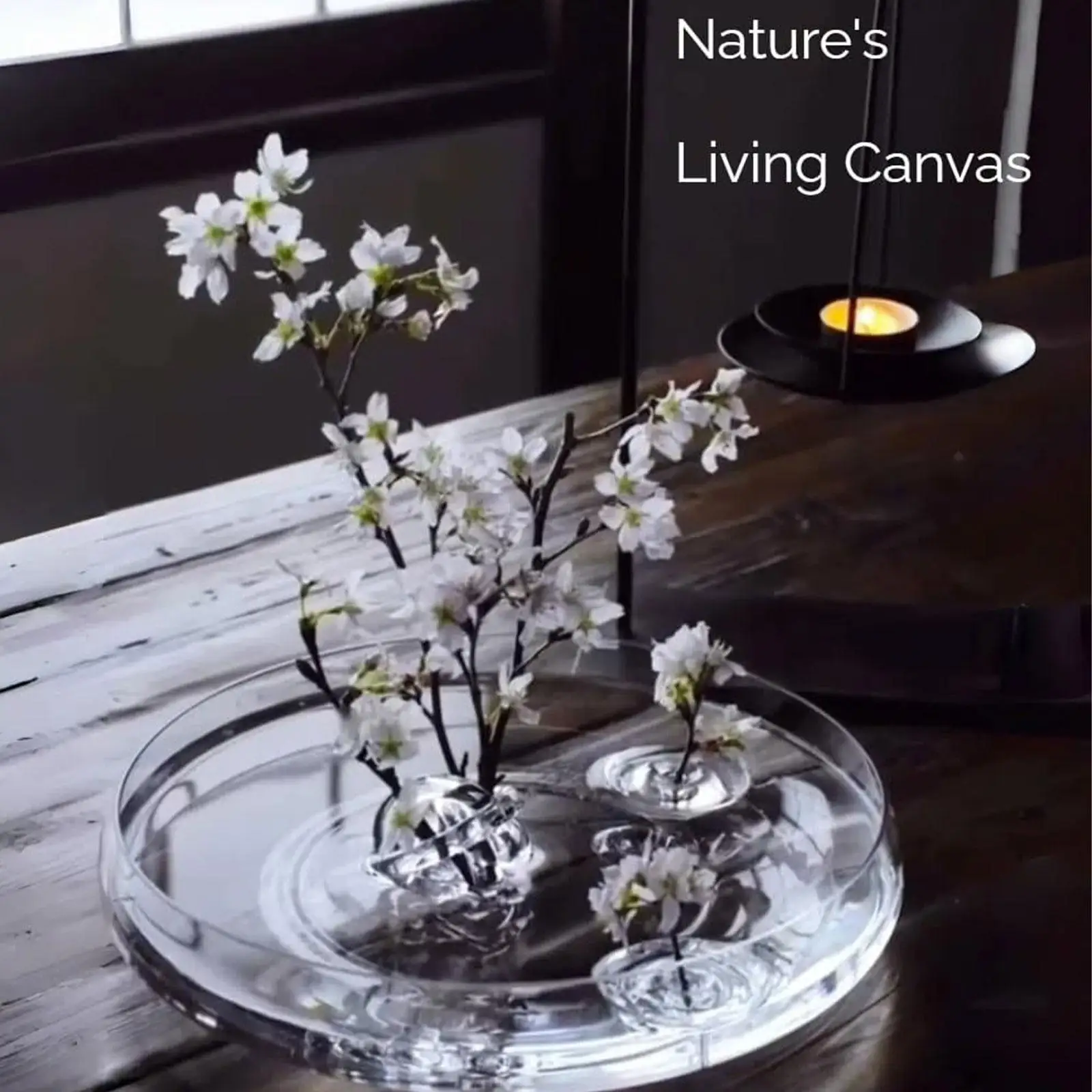 2x Floating Flower Vase Floral Arrangement Holder Home Decor Table Centerpiece Ornament for Office Entryway Bedroom Holiday