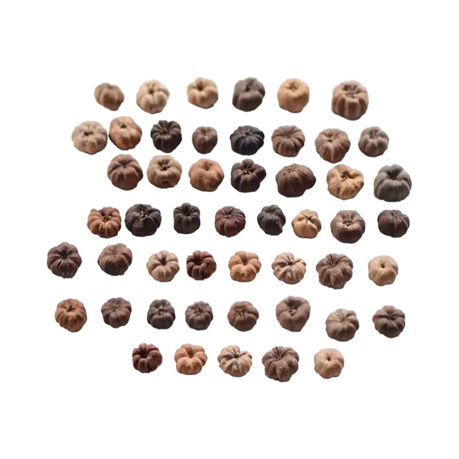 50x Mini Putka Pods Mini Pumpkin Pods Ornaments Decoration Handmade Materials Fall Vase Filler for Garland Candle Making Home