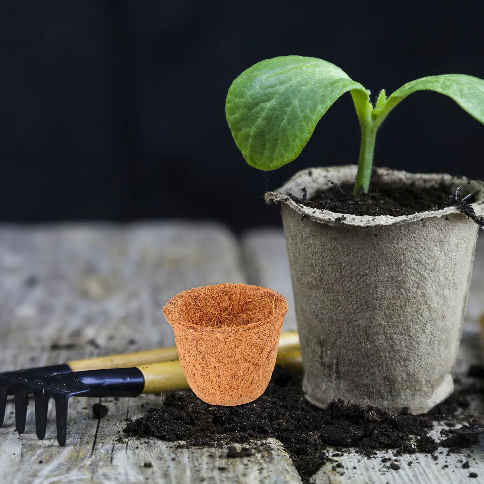 12 vasi in fibra di cocco per - Terracotta Pot recensione e prezzo