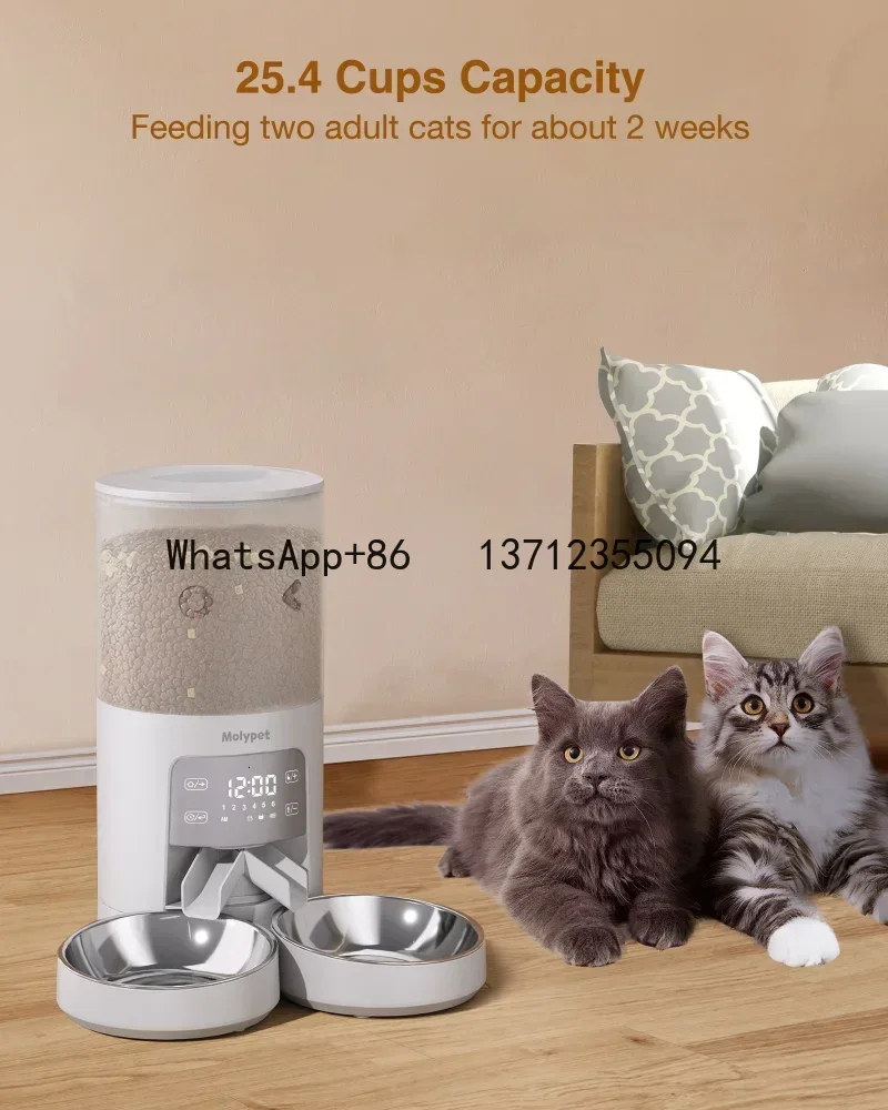 Doppel mahlzeit Hund وحدة تغذية أوتوماتيكية Katzen أداة توقيت الطعام الذكية Schüssel Automatche الانفصال توقيت تغذية الحيوانات الأليفة