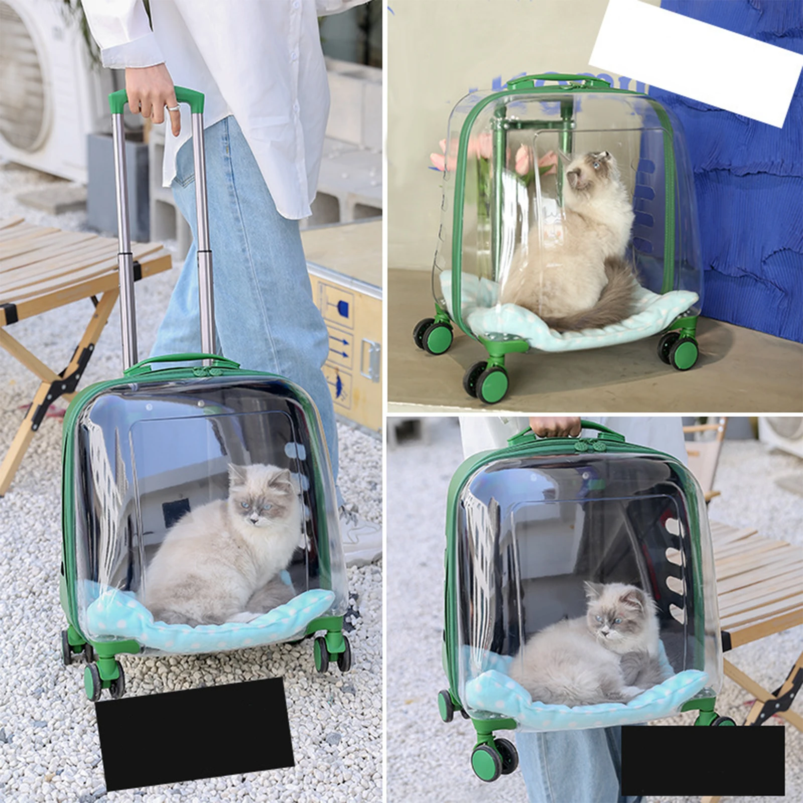 Imagem -05 - Portátil Cat And Dog Transportadora Bolsa Silencioso Universal Rodas Pet Trolley Case Totalmente Transparente Viagens Curtas Transportando para Pet Viagem