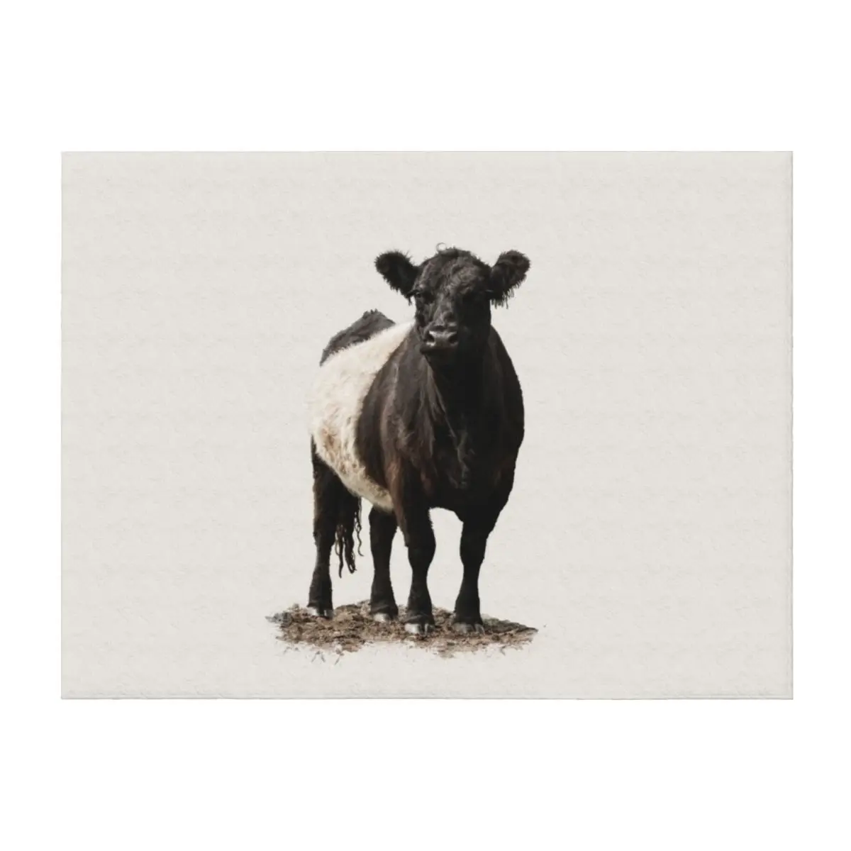 

Belted Galloway Cow Throw Blanket Flannel Fabric Quilt Sofas Plaid Blankets