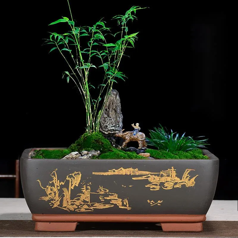 

Цветочный горшок фиолетовый глиняный керамический прямоугольный бонсай фигурное дерево Podocarpus сосна Ganoderma старый пень