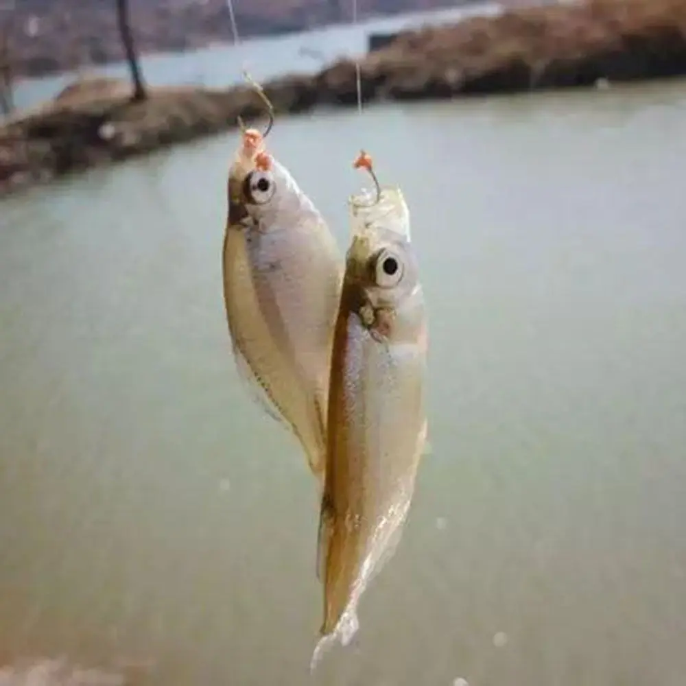 

Fishing Line Kit Outdoor Tool Fishing Wild Survival Fishing Survival Tool Fishing Gadget Kit Fishing Accessories