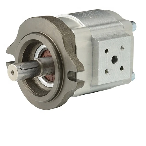 EIPS2-022RA04-12 S111 Gear Pump Electric Oil High Pressure