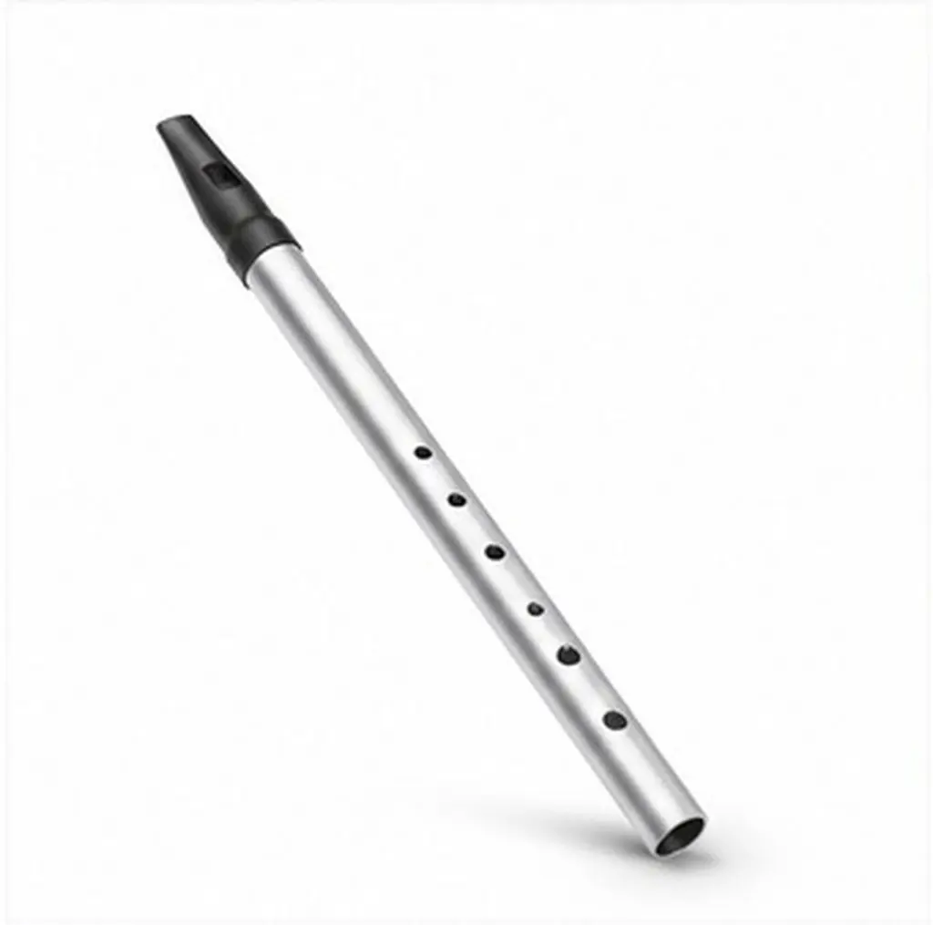 Irish Whistle Key of -Hole Flute Beginner Wind Instrument for Learning Practice Music Class Portable Clear Tone Metal